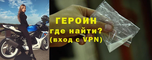 прущие грибы Елабуга