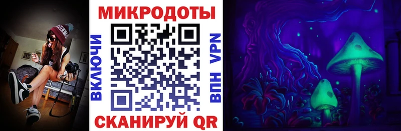 закладки  Александровск-Сахалинский  ОМГ ОМГ как войти  Псилоцибиновые грибы Magic Shrooms 